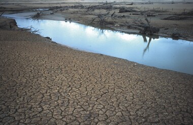 Slide - VAL DENSWORTH COLLECTION: DRY LAKE EPPALOCK, May 2004