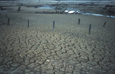 Slide - VAL DENSWORTH COLLECTION: DRY LAKE EPPALOCK, May 2004