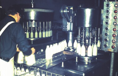 Slide - VAL DENSWORTH COLLECTION: SANDHURST DAIRIES, 1966/67
