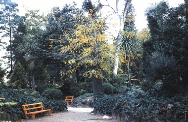 Slide - BENDIGO BUILDINGS & SCENERY, April 1960