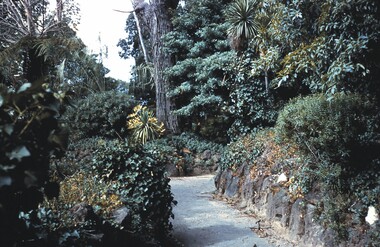 Slide - BENDIGO BUILDINGS & SCENERY, April  1960