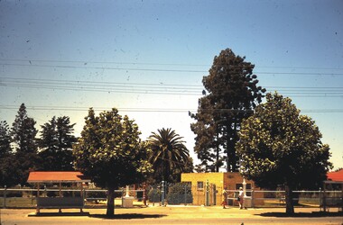Slide - BENDIGO BUILDINGS, Jan 1970