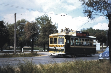 Slide - BENDIGO TRAMS, Nov 1971