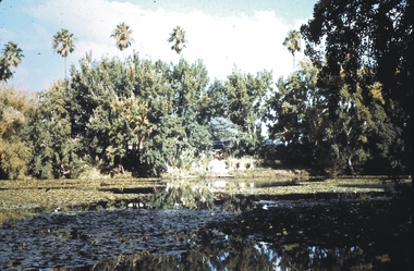 Slide - AHQ,SURVEY REGT, FORTUNA,BENDIGO, April 1970