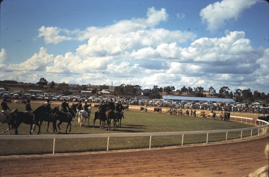 Slide - BENDIGO SHOW, 1970