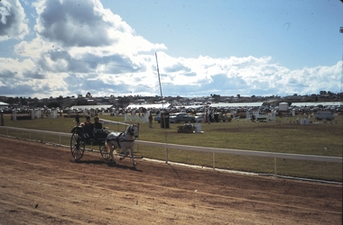 Slide - BENDIGO SHOW, 1970