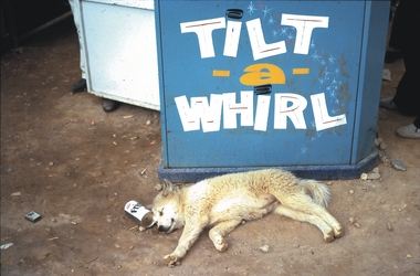 Slide - BENDIGO SHOW, Oct 1970