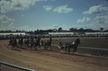 Slide - BENDIGO SHOW, Oct 1970