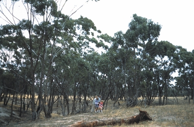 Slide - KURTING, Dec 1968
