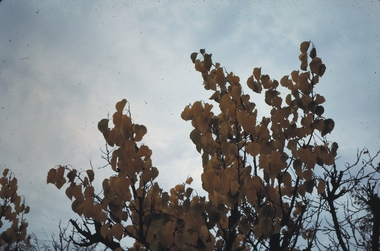 Slide - MALDON & SURROUNDING AREAS, Apr 1968