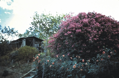 Slide - MALDON & SURROUNDING AREAS, Apr 1968