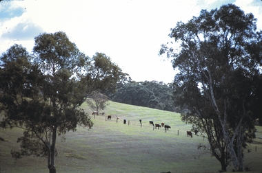 Slide - MALDON & SURROUNDING AREAS, Apr 1968