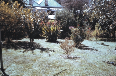 Slide - GARDEN 12 HOPE STREET, Jan 1963