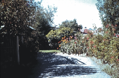 Slide - GARDEN 12 HOPE STREET, Jan 1963