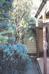 Slide - GARDEN 12 HOPE STREET, Jan1963