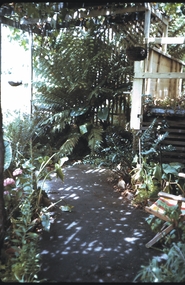 Slide - GARDEN-12 HOPE STREET, Jan 1963