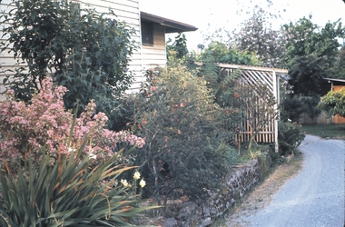 Slide - GARDEN (FLOWERS) 12 HOPE STREET, Dec 1968