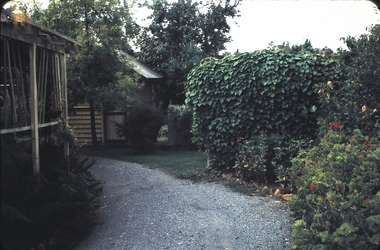 Slide - GARDEN (FLOWERS) 12 HOPE STREET, Dec 1968