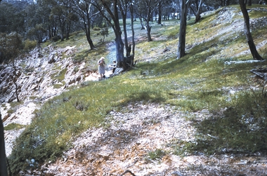 Slide - LAANACOORIE;TARNAGULLA;MALDON, Sep 1960