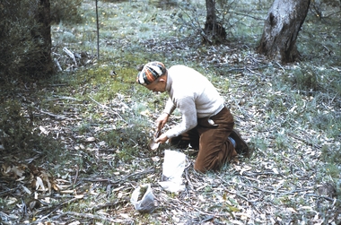 Slide - LAANACOORIE;TARNAGULLA;MALDON, Sep 1960