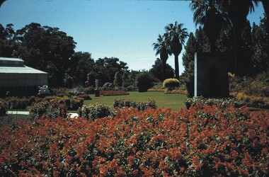 Slide - CASTLEMAINE HISTORICAL SOCIETY COLLECTION, CONSERVATORY GARDENS, BENDIGO, 1957