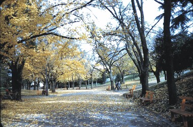 Slide - CASTLEMAINE HISTORICAL SOCIETY COLLECTION, ROSALIND PARK, 1955