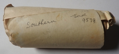 Map - NEW CHUM LINE, 1875