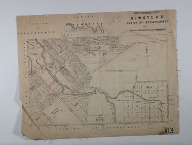 Map - NEWSTEAD ALLOTMENTS, 10/06/1886