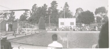 Photograph - EAST BENDIGO SWIM MEET