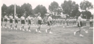 Photograph - WOMAN'S BASKETBALL TEAM
