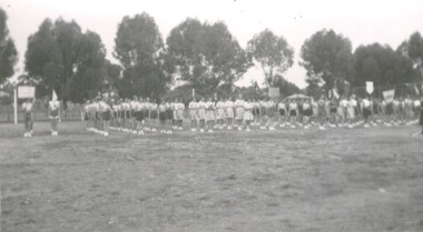 Photograph - WOMEN'S BASKETBALL TEAMS