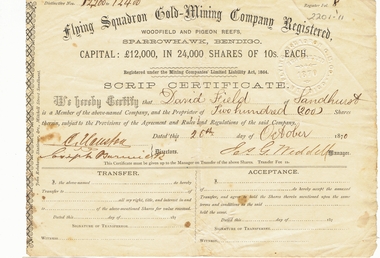 Document - LANSELL COLLECTION: SCRIP CERTIFICATE:  FLYING SQUADRON GOLD-MINING COMPANY REGISTERED, 1870