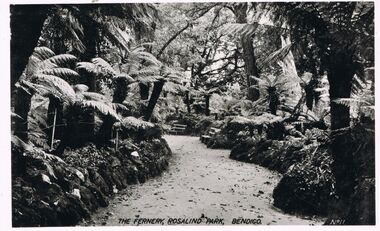 Photograph - BENDIGO  ROSALIND PARK  THE FERNERY