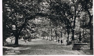 Photograph - BENDIGO - ROSALIND PARK
