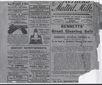 Document - BUSH COLLECTION: PAGE FROM 'SPECIAL ISSUE OF THE SPECTATOR (6/2/1903) - BENDIGO BUSINESSES, 1903