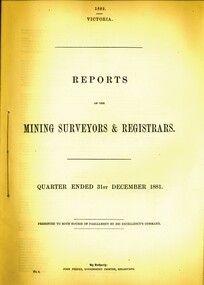 Book - REPORT OF THE MINING SURVEYORS AND REGISTRARS, 31ST. DECEMBER 1881, 1881