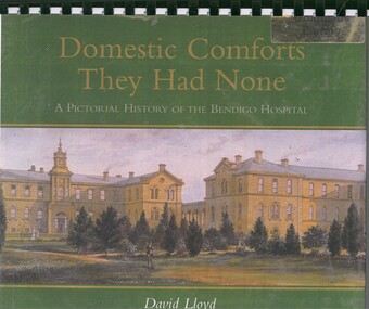 Book - DOMESTIC COMFORTS THEY HAD NONE A PICTORIAL HISTORY OF THE BENDIGO HOSPITAL, 2003