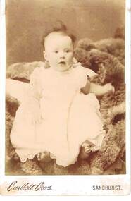 Photograph - UNKNOWN FAMILY COLLECTION: PHOTOGRAPH, Cira 1900