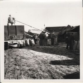 Photograph - TRAIN DERAILMENT COLLECTION: 1961 SEA LAKE VICTORIA, 19th June, 1961