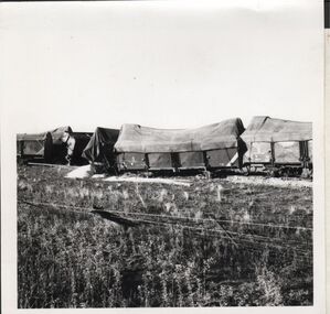 Photograph - TRAIN DERAILMENT COLLECTION: 1961 SEA LAKE VICTORIA, 19th June, 1961