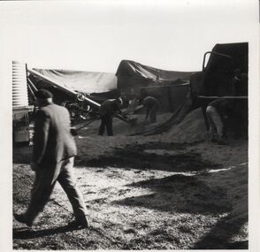 Photograph - TRAIN DERAILMENT COLLECTION: 1961 CULGOA VICTORIA, 19th June, 1961