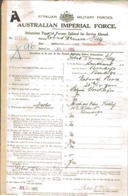 Document - ROBERT DENIS KELLY COLLECTION:  BIOGRAPHICAL DETAILS