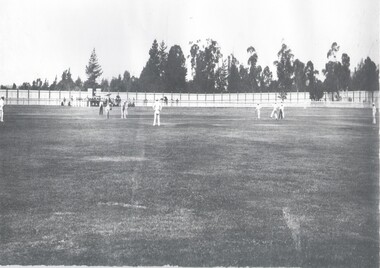 Photograph - CRICKET MATCH ENGLAND VERSUS BENDIGO, 1901