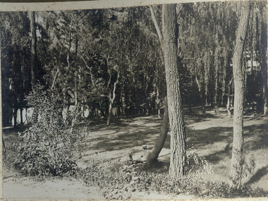 Photograph - FORTUNA COLLECTION: GROUNDS OF FORTUNA