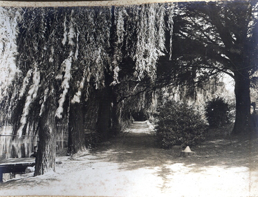 Photograph - FORTUNA COLLECTION: GARDEN PATHWAY AT FORTUNA VILLA