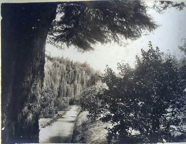 Photograph - FORTUNA COLLECTION: GARDEN VIEW AT FORTUNA