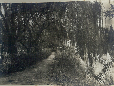 Photograph - FORTUNA COLLECTION: GARDEN AT FORTUNA VILLA