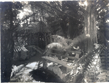 Photograph - FORTUNA COLLECTION: FERNERY AT FORTUNA VILLA