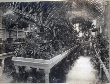 Photograph - FORTUNA COLLECTION: CONSERVATORY AT FORTUNA VILLA