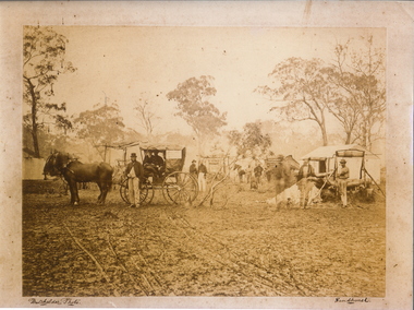 Photograph - MYERS CREEK DIGGING, c1867